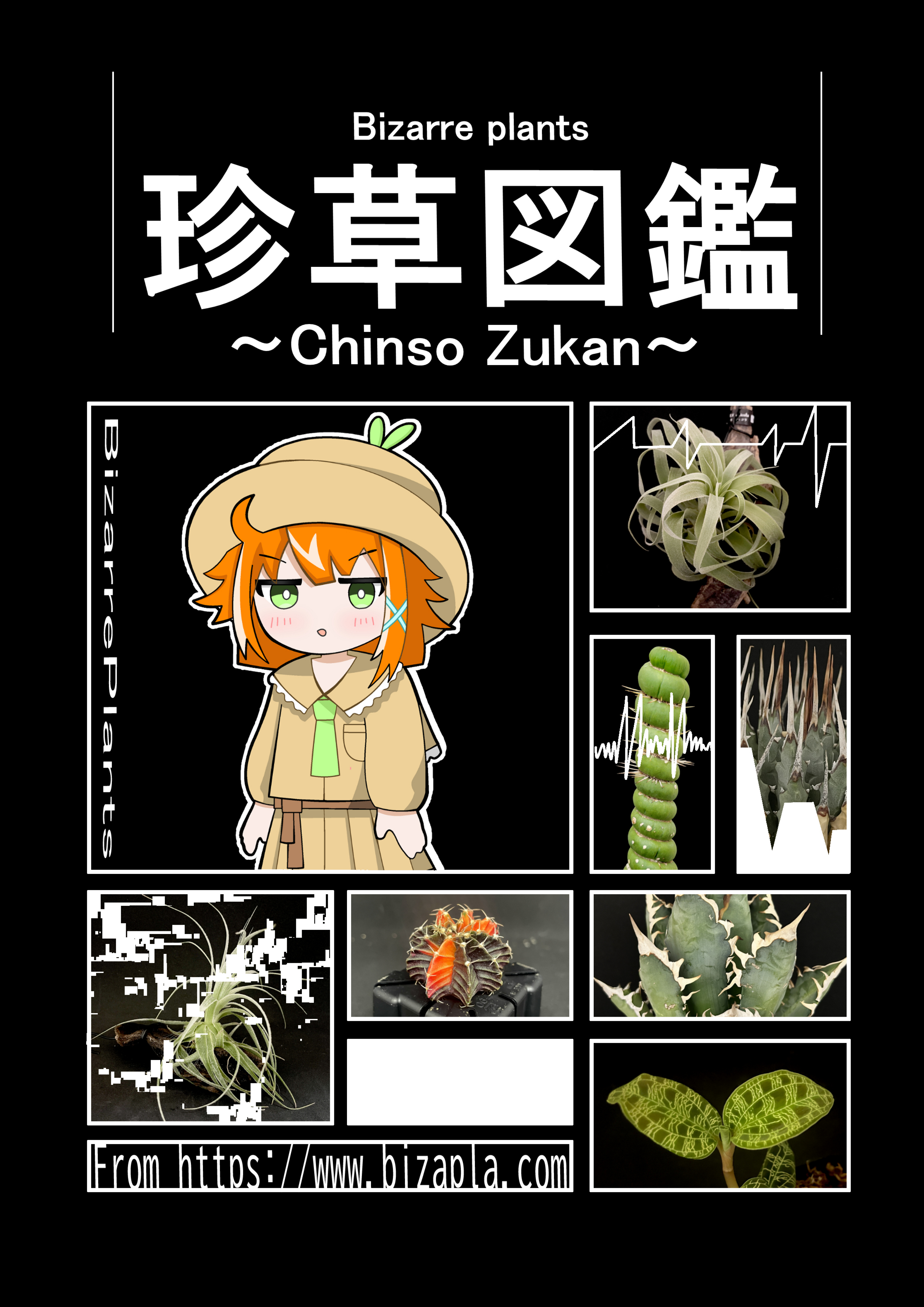 図鑑表紙