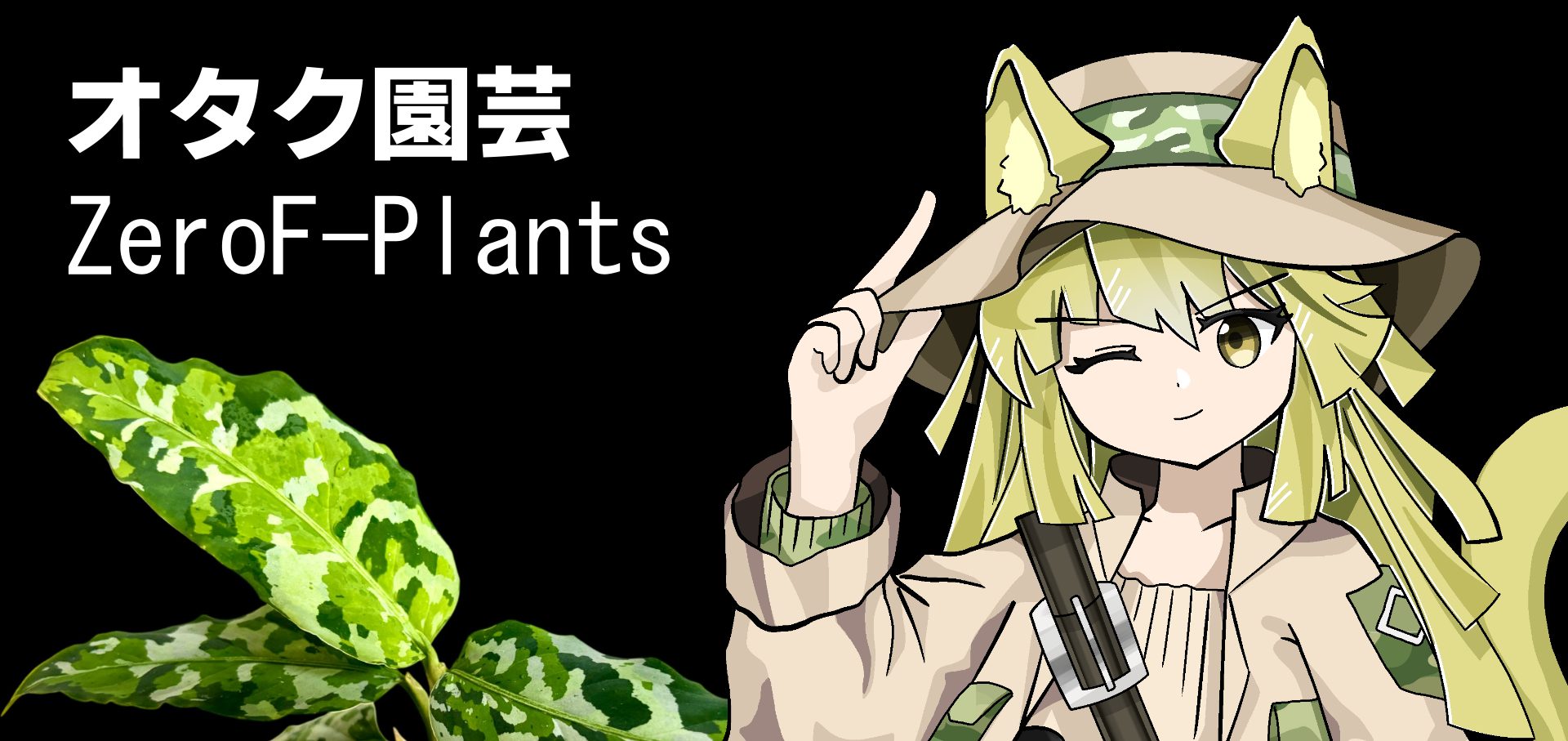 アグラオネマ・ピクタムのイメージ画像