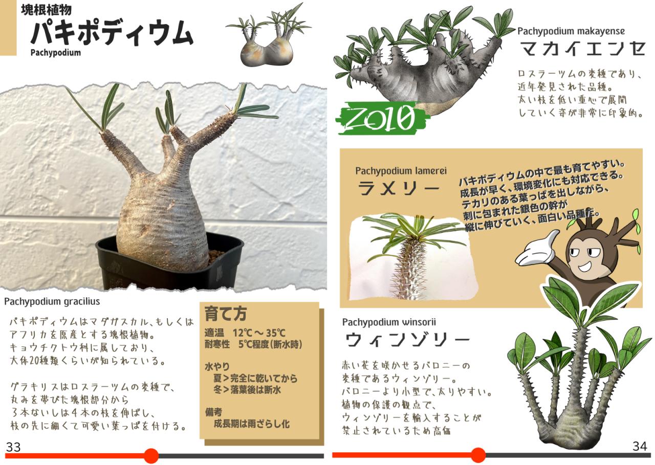 【第一章】紙の同人誌、『植物図鑑』を作りたい！｜創作｜Studio Zerofount 創作ブログ